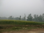 40262CIMG9279.JPG
