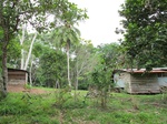 32098IMG_5581.JPG