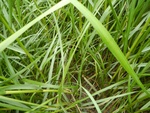 54402DSCN1682.JPG