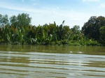 54701Bulungan (196).JPG