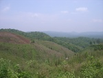 28207RIMG0197.JPG