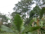 49834CIMG6171.JPG