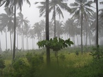 14138IMG_4473.JPG