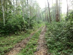 45925CIMG0214.JPG