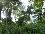25032P1020494.JPG