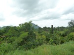 18784P1000622.JPG