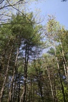 242IMG_4138.JPG