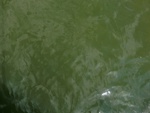 58073CIMG2367.JPG