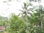 14742IMG_5133.JPG
