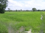 33446RIMG0186.JPG