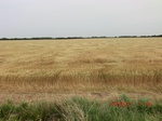29615CIMG0883.JPG