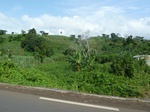 20438P1020295.JPG