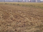 3223R0017257.JPG
