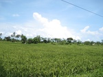 15502IMG_4572.JPG