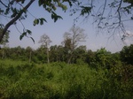 8966RIMG0041.JPG