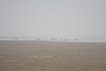 4126IMG_8761.JPG