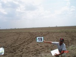 6146019a-rainfed-groundnut-cotton-chilli-fallowfarms.jpg