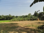 26098DSC01125.JPG