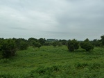 18687P1000525.JPG