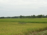 26118DSC01157.JPG