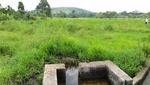 28043DSC01471.JPG