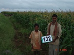 124860132a-irrigated-supplemental-groundwater-maize-dominant-sugarcane-horsegram-sorghum.gif
