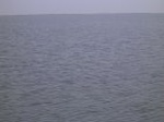 1573R0015236_small.jpg