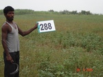 130310288c-irrigated-rainfed-groundwater-sugarcane-dominant-soyabean.gif