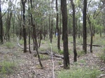 43721NSW004_L2.jpg