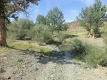 37335CIMG1137.JPG