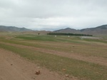 23519P1030374.JPG