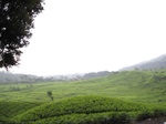 13594IMG_3848.JPG