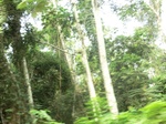 47521CIMG3858.JPG