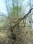 525727042008(19).JPG