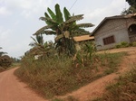 49209CIMG5546.JPG