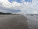 24851DSC01029.JPG
