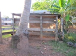 32035IMG_5722.JPG