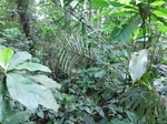 45242CIMG2327.JPG
