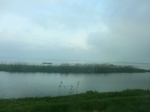 52086CIMG0092.JPG