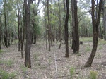 43725NSW004_L6.jpg