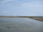 14334IMG_4675.JPG