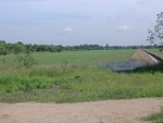 26215RIMG0182.JPG