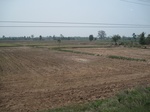 34499IMG_5482.JPG