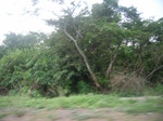 4066RIMG0371.JPG