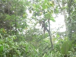 48711CIMG5048.JPG