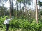 9296gt08b-coffee-with-Y&M-sec-forest.gif