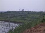 821R0015378_small.jpg