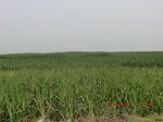 32852CIMG1984.JPG