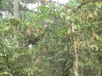 51098CIMG4919.JPG