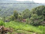 15182IMG_4002.JPG